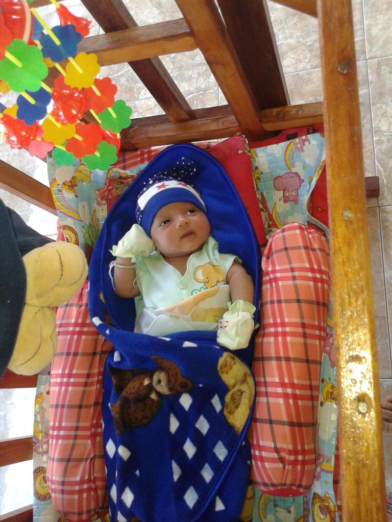 ewik hippo!! tweet media