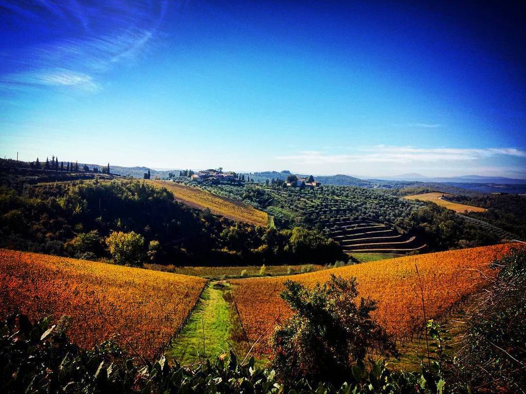 WeTuscany's tweet photo. #instatuscany #instasiena #igerstoscana #tuscany #siena #igerssiena #toscana #countryside #italy #chianti #chiantic… https://t.co/t82Joqd8uk