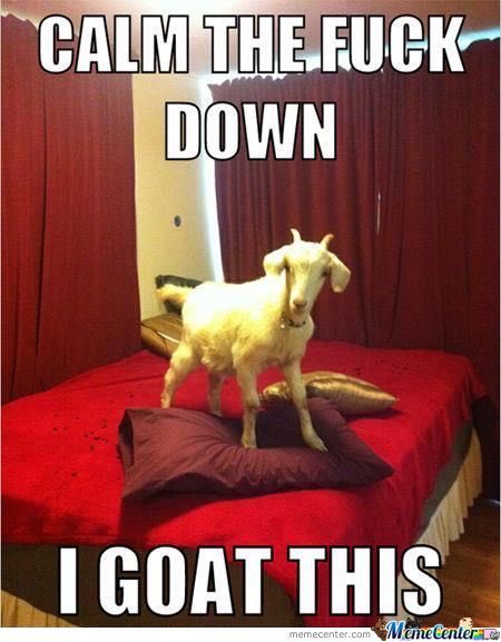 the_scarlet_nut's tweet photo. JT getting ready to take QB job over like... #YoungGOAT #JustTouchdowns #DefendGr8ness πππ https://t.co/bWJ2ZvwbuS