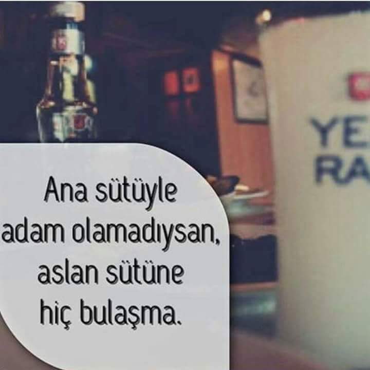 Bumudur budur :)))