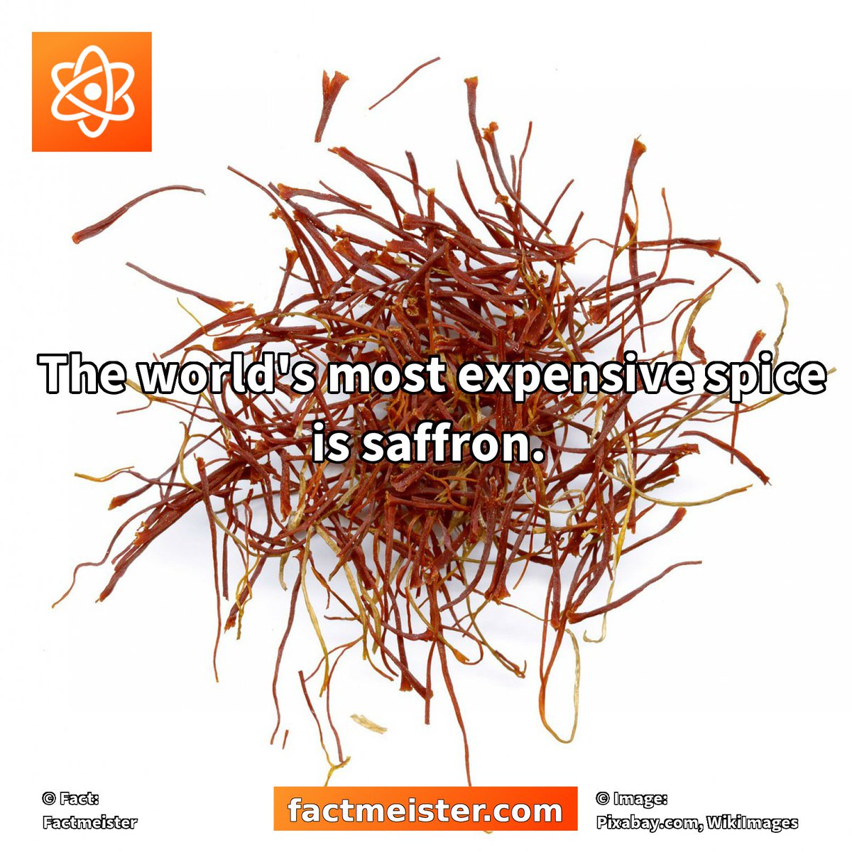 FactmeisterFact's tweet photo. The world's most expensive #spice is #saffron. https://t.co/DRGmSNPF5Y