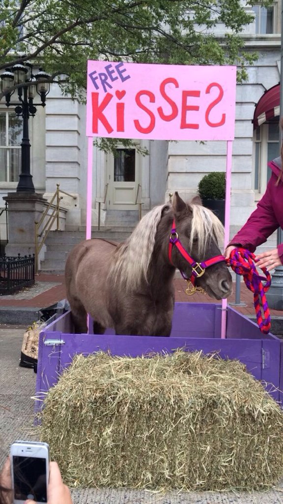 madmadi56's tweet photo. kids day @WIHS !!! #WIHS2015 #freeponykisses https://t.co/5xma1zO2y5