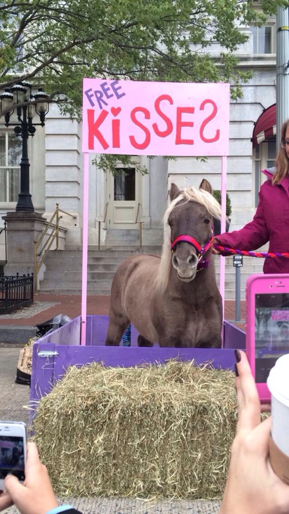 madmadi56's tweet photo. kids day @WIHS !!! #WIHS2015 #freeponykisses https://t.co/5xma1zO2y5