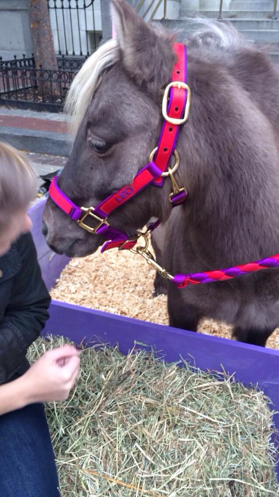 madmadi56's tweet photo. kids day @WIHS !!! #WIHS2015 #freeponykisses https://t.co/5xma1zO2y5