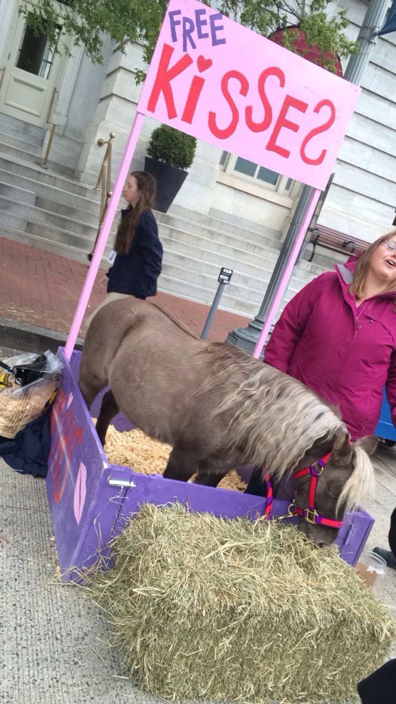 madmadi56's tweet photo. kids day @WIHS !!! #WIHS2015 #freeponykisses https://t.co/5xma1zO2y5