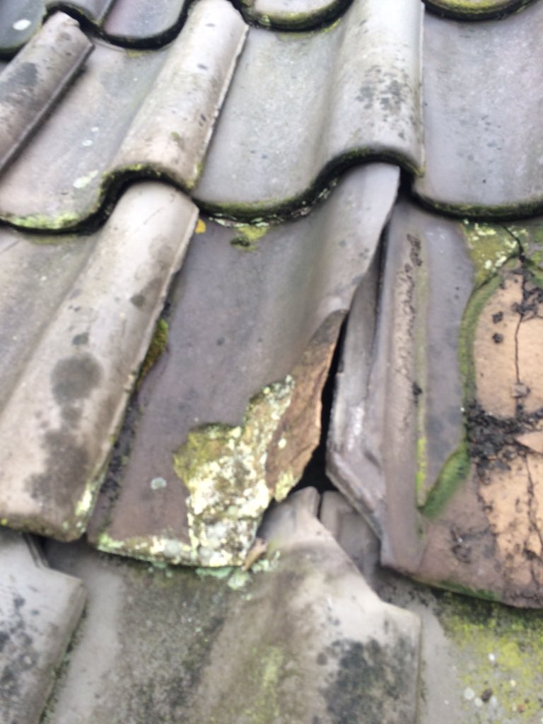 Clementsdaktech's tweet image. Even wat fotos van werkzaamheden in de afgelopen weken