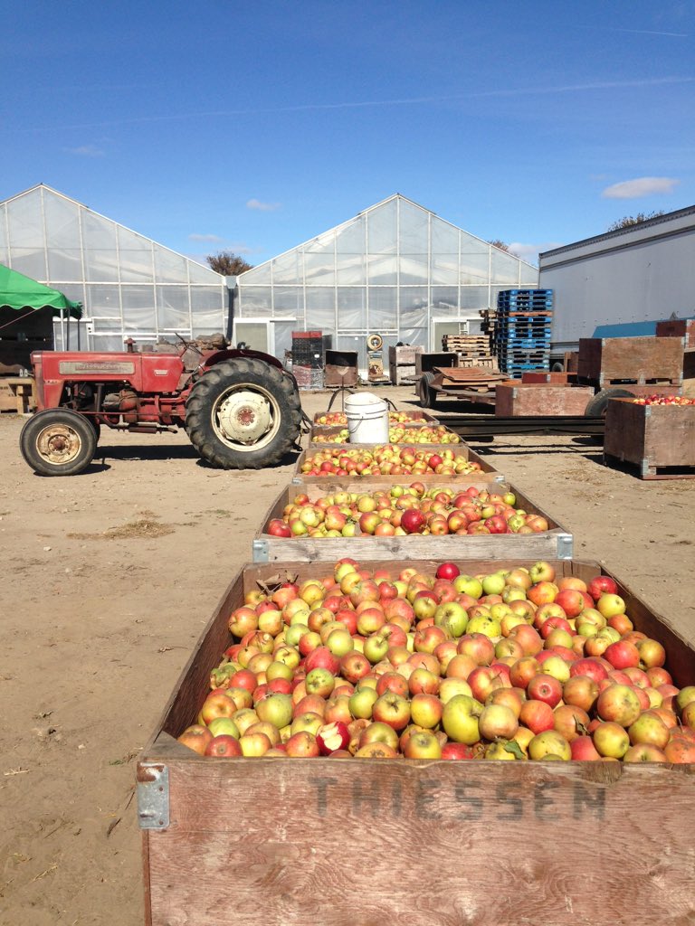 #Apple picking and cooking! #yqg