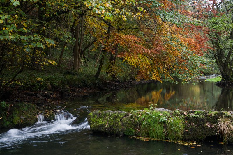 Grey and wet in Dove Dale today but nothing wrong with the colours