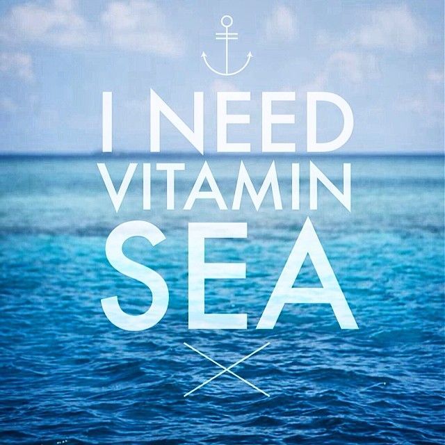 SeaShellShop's tweet image. Have you taken your vitamins today?
