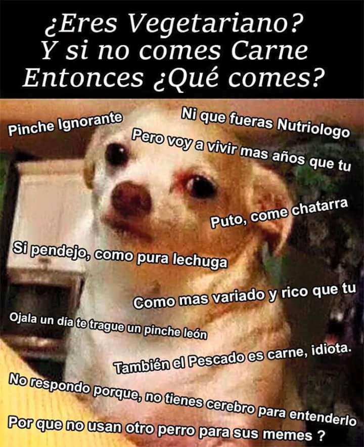 bebenobeto0606's tweet photo. @andreamoctezuma @Cmarflo @billybou83 @Alcearriola @enformacenter @oscarhcampos @daraceru https://t.co/QtqkEOXGA6