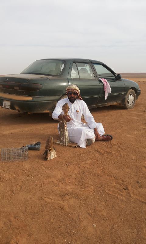 remas73915's tweet photo. السﻻم عليكم ورحمة الله  
مقناص الحر في با دية اﻵردن https://t.co/57FC1wK7Pc
