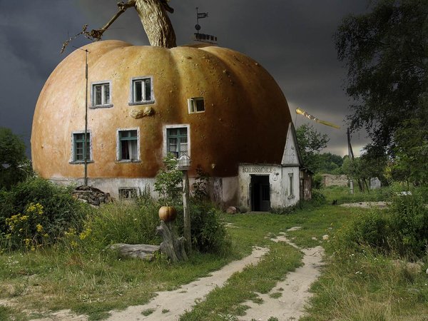 sobore's tweet photo. Pumpkins large enough to live in! 😀 https://t.co/0ocRyTrz20