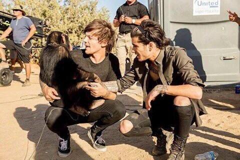oliviaadicaprio's tweet photo. Who would ever think 1 year ago today Zouis would be dead #1YearSinceStealMyGirl https://t.co/k8UF7wOmHL