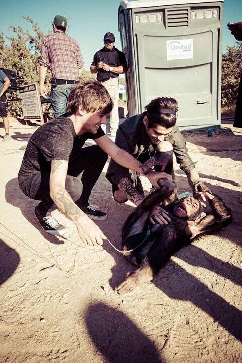 oliviaadicaprio's tweet photo. Who would ever think 1 year ago today Zouis would be dead #1YearSinceStealMyGirl https://t.co/k8UF7wOmHL