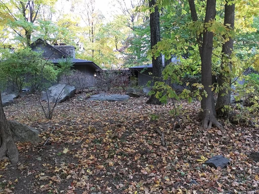 KenLuczkiewicz tweet picture