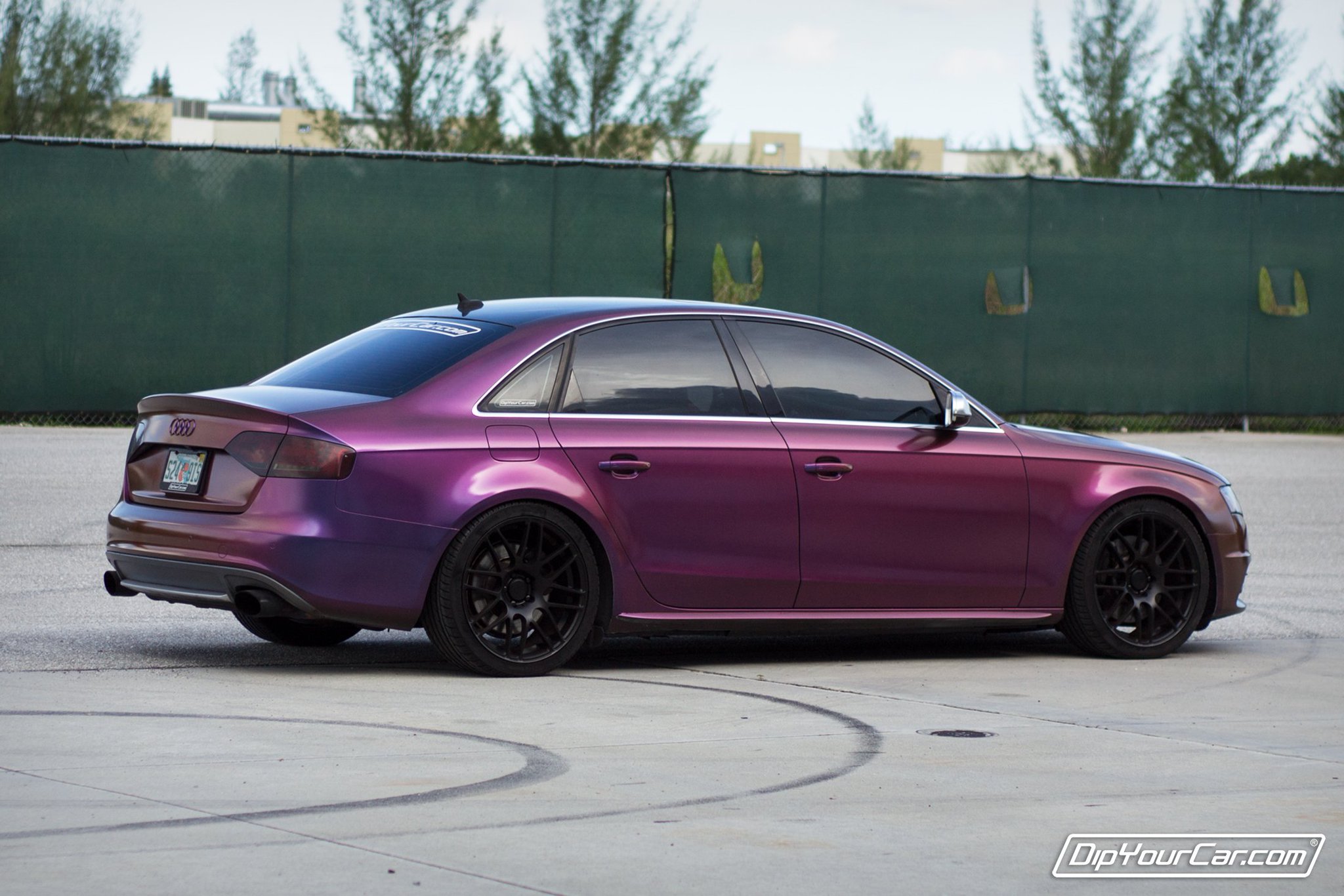 on Twitter &quot;Anthias ColorShift S4 with the