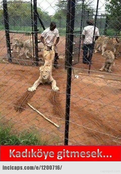 Ateş seni çağırıyor ...