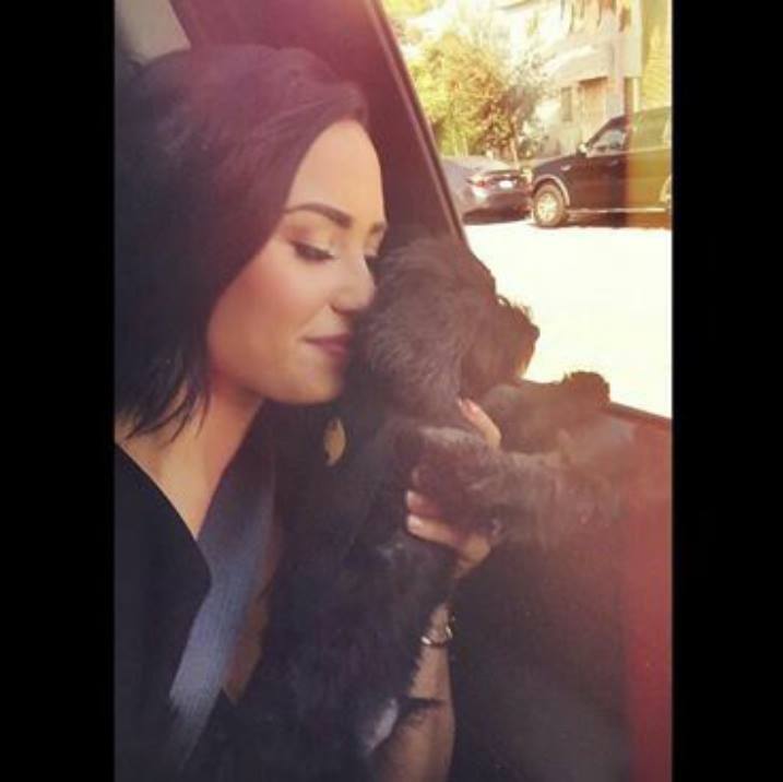 demileyinasigix's tweet photo. RT #TurkishLovaticsForever https://t.co/VNs8W0NthZ