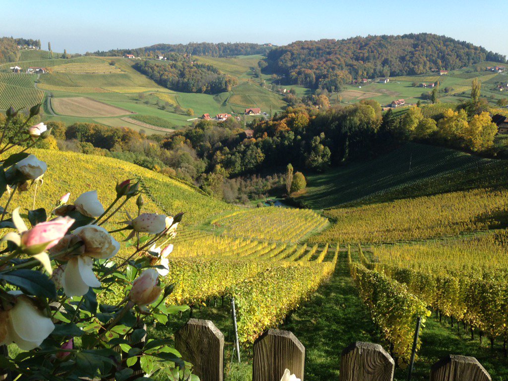 Jeremy Roberts tweet media