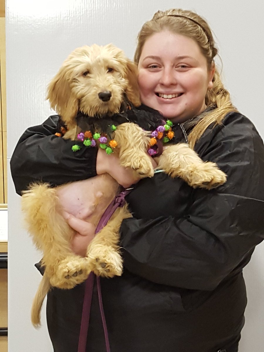 PetSmart1073's tweet photo. #holloweencostume #petsmart # fun #10am -2pm https://t.co/UlFvsyckmc