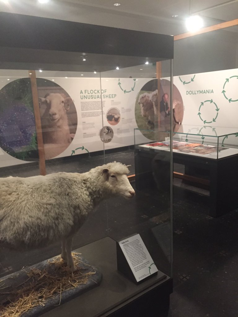 Finally visited <a href="/towardsdolly/">towardsdolly</a> at <a href="/EdUniMainLib/">University of Edinburgh Main Library</a> Fascinating collection, really inspiring reading about it all 🔬🐑