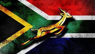 PetLifeVibes's tweet photo. Courageous effort by the @Springboks. You've made us proud! https://t.co/9BEIaUN5oC