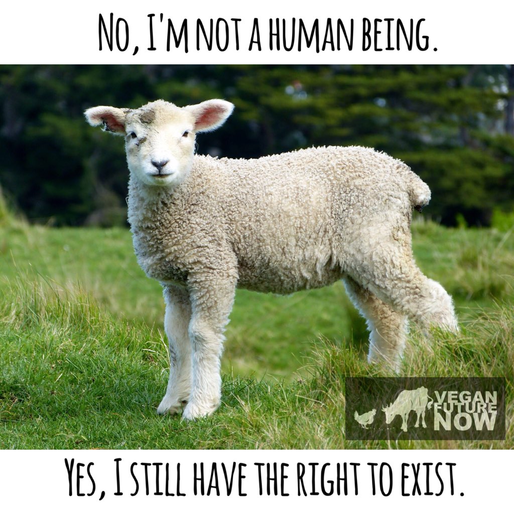 All beings have the right to exist and to live #freefromharm at human hands. #vegan #AnimalRights #farm365