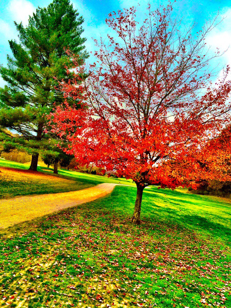 gllapoint's tweet photo. Pure #beauty #seasons #fall #music https://t.co/VkwGHStWjb