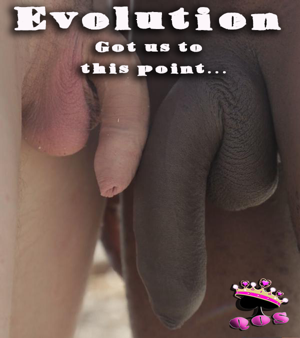 QueenSpadez's tweet photo. #nowhiteboys #qos #teamblackboys #saynotowhiteboys #junglefever #snowbunny #IRMovement #teamblackguys https://t.co/jI5KUkib5a