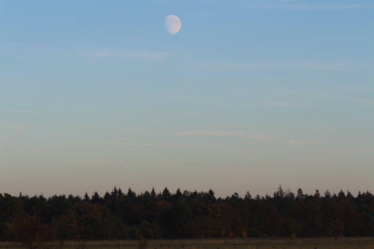 geminga66's tweet photo. Herbstmond https://t.co/xtVgkN1CWK
