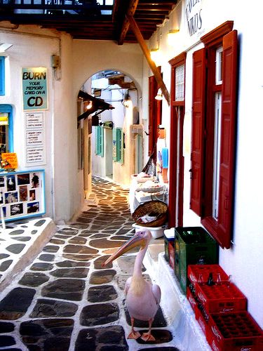 Greek highlights tweet media