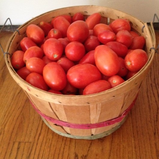 MindyWhittle's tweet photo. Grateful for indian summer roma tomatoes  for this winter's sauce.  Lots of chopping today!! https://t.co/I6h7VAWUoO