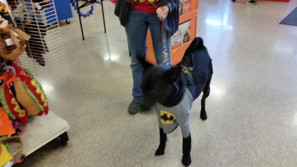 PetSmart#1934 tweet media