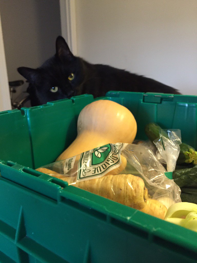 Mr Loki likes what he smells! Just got my bin delivered :) <a href="/EatingWell_Ott/">Eating Well Ottawa</a>