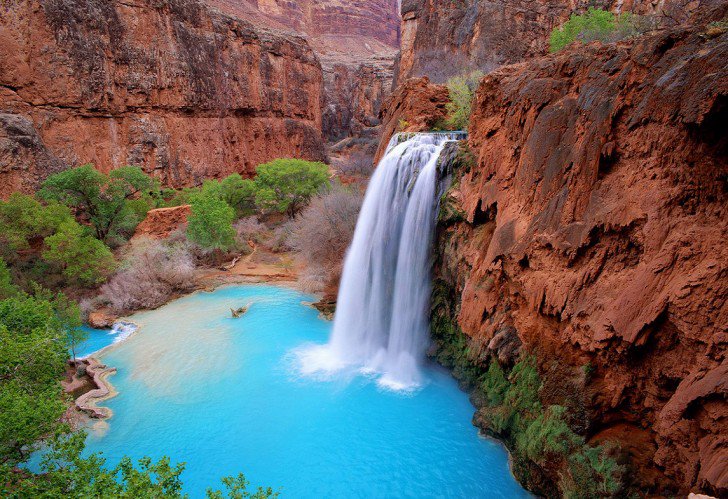 Gorgeous0Places's tweet photo. Havasu Falls, Arizona, USA 
Majestic Waterfall in Grand Canyon National Park 

#GorgeousPlaces https://t.co/px3jMcTO17