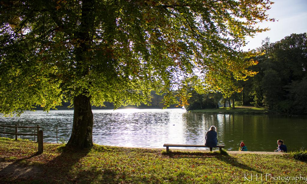 KHPhoto87's tweet photo. Another cracking view from my walk on Tuesday #lakeshearwater #autumn #octoberphotochallenge https://t.co/5dYLaJ2Vn1