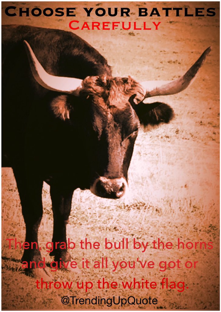 Strong Like Bull Quote Trending Quotes Twitterren: "Choose Your Battles Carefully. #Battles  #Choices #Bull #Grabthebullbythehorns #Whiteflag #Priorities #Strong #Quote  Https://T.co/Ghht2Dyz0T" / Twitter