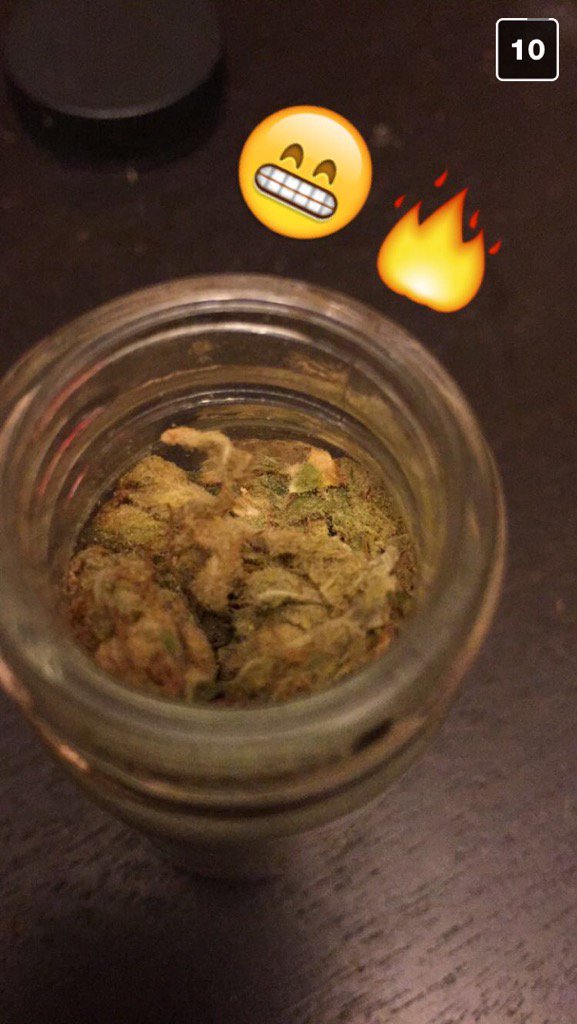 TiaMarieTrees's tweet photo. Smoke that fire son 🌿🔥❤️ #Marijuana #Medicine #CannabisCommunity #PassTheTree https://t.co/4hMr8JUrAD