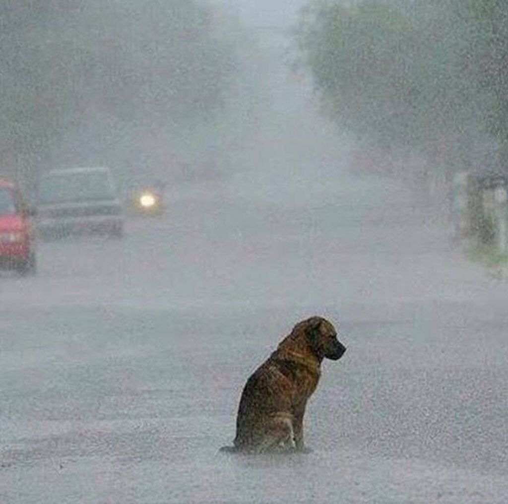 zoe2464's tweet photo. #HurricanePatricia #PrayforHub #PrayForStillwater ๐๐ป๐ Please & Thank you. God Bless you all. ๐๐ธ https://t.co/lwsVb496pE
