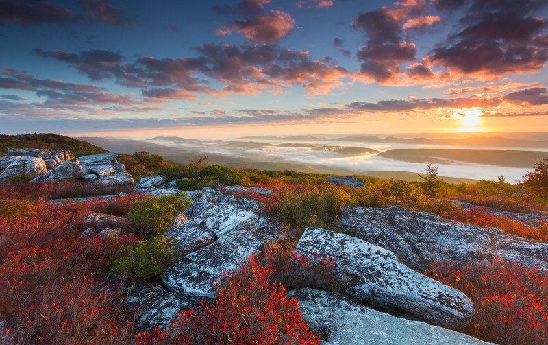 Gorgeous0Places's tweet photo. Canaan Valley, West Virginia, USA

Dolly Sods National Park

#GorgeousPlaces https://t.co/WY0eftoMWi