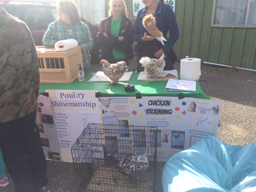 WashingtonCty4H's tweet photo. Come on out to the 4-H Open House at the Washington County Fairgrounds 1-5pm today! https://t.co/9EoGMkQpB2