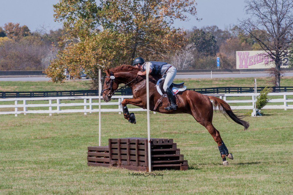 Tik Maynard Company tweet media