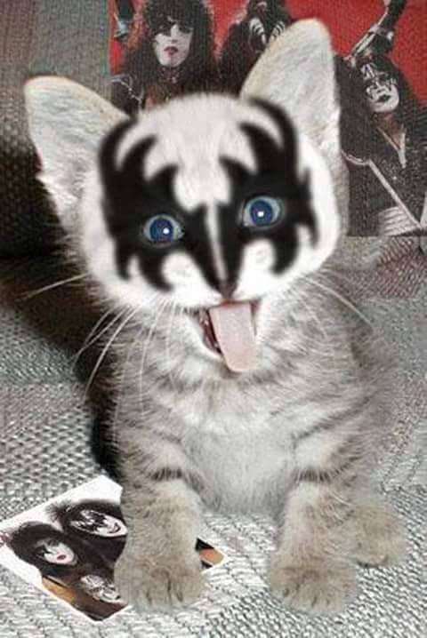Mixiofficial's tweet photo. Current mood https://t.co/EEqpe3oHeS