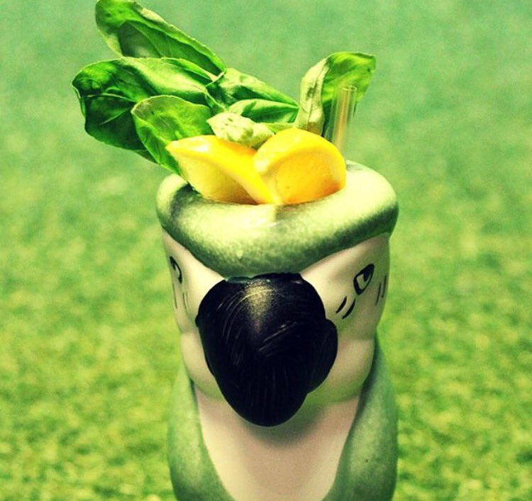 pynceapp's tweet photo. Motel gram - Tropical cocktails in a tiki island oasis #wellington https://t.co/FA1P9k9eAd