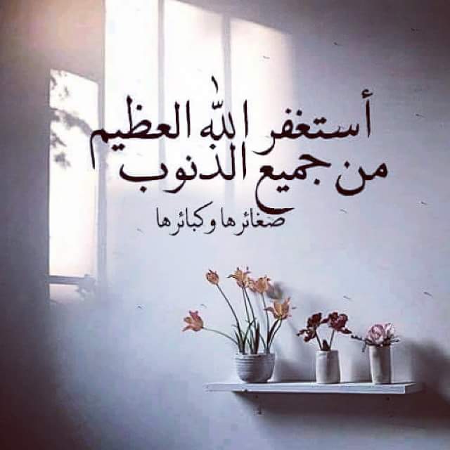 عمر سليمان سعيد tweet media