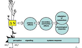 nanochemistry