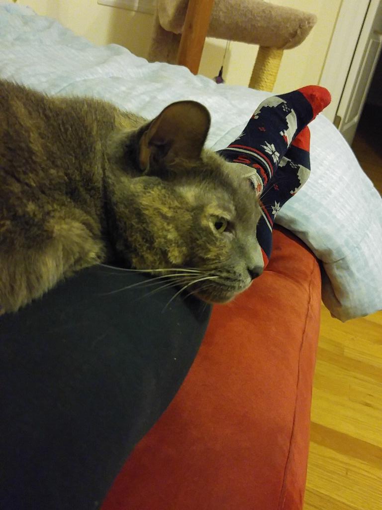 Mindy Perry tweet media