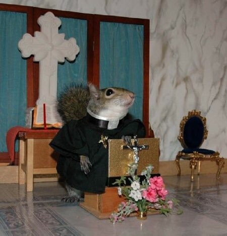 squirrelbitch tweet picture