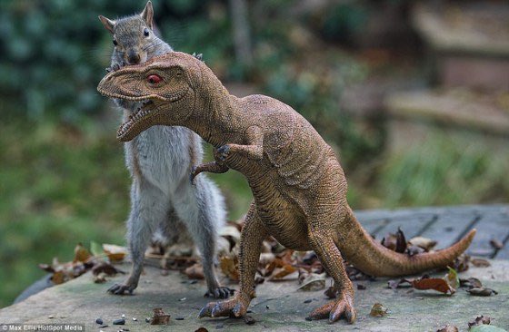squirrelbitch tweet picture