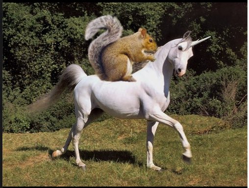 squirrelbitch tweet picture